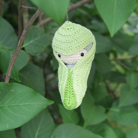 Amigurumi Crochet Pattern . Brimstone Butterfly Lifecycle