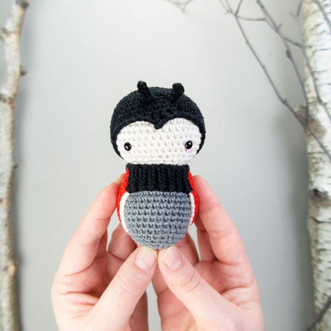 Amigurumi Crochet Kit . Ladybug Lifecycle