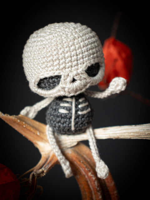 Halloween Crochet Pattern . Skeleton Skully