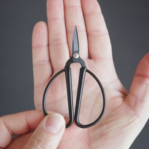 Small Black Needlework Scissors . Large Butterfly Handles