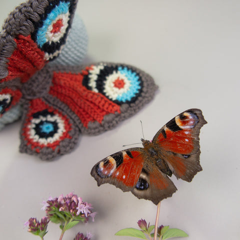 Amigurumi Crochet Pattern . Peacock Butterfly